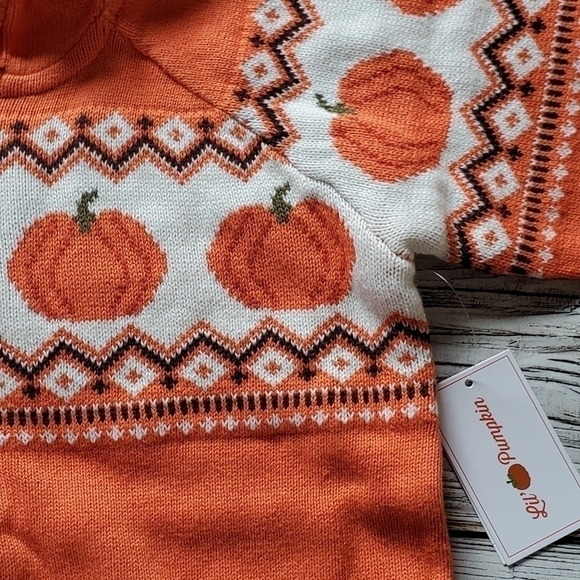 Gymboree Orange Pumpkin Sweater Lil's Pumpkin Collection Hooded Zip Up Sweater - Picture 4 of 14